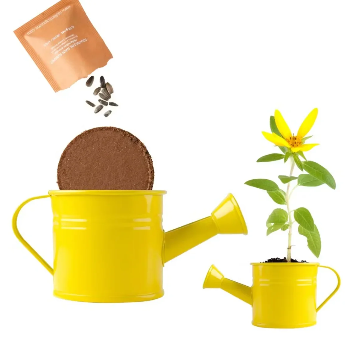 Mini Arrosoir jaune et Tournesol à semer – Image 3